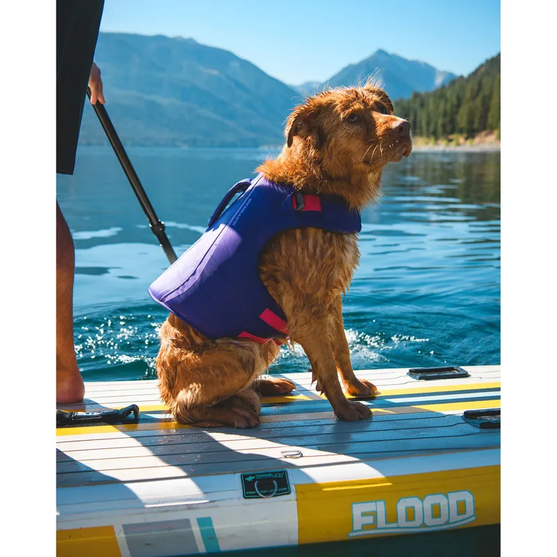 Ruffwear Float Coat Life Jacket Purple Lily-9