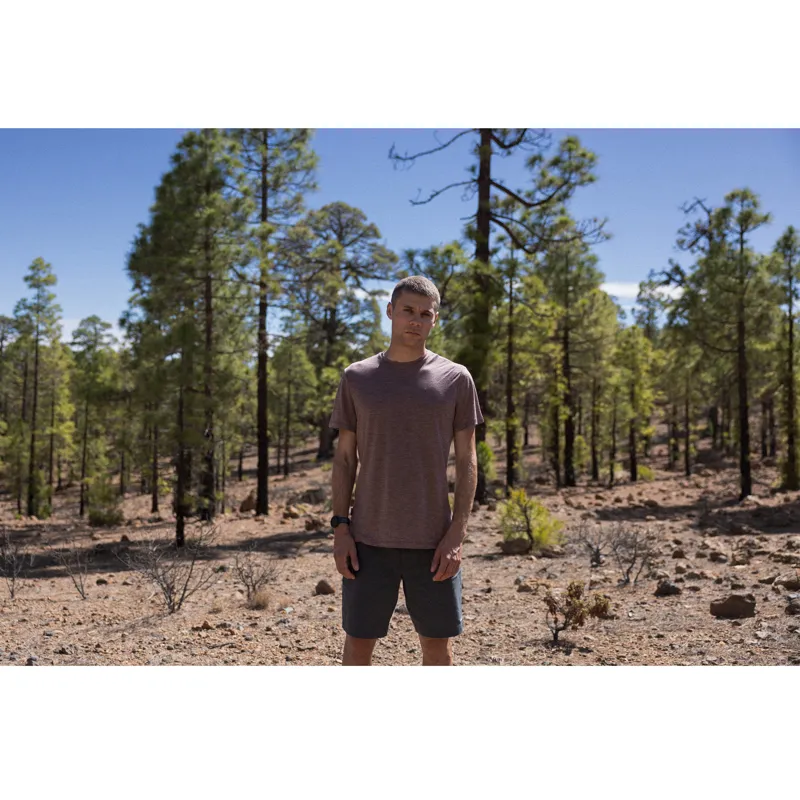 Icebreaker Mens 125 Cool-Lite Sphere III SS Tee Carob Heather-7