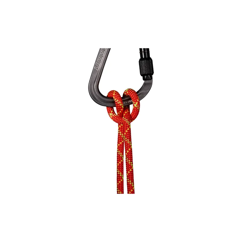 Mammut 8.0mm Alpine Core Protect Dry Fire 60m-1