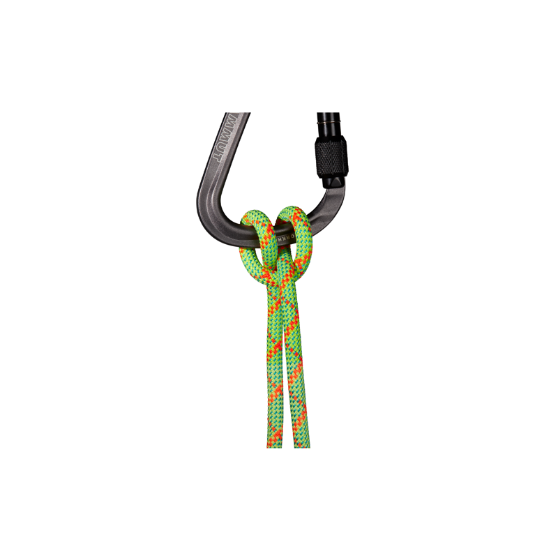 Mammut 8.0mm Alpine Core Protect Dry Halo 60m-1