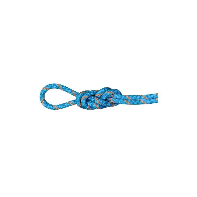 Mammut 8.7mm Alpine Sender Dry Ocean 60m