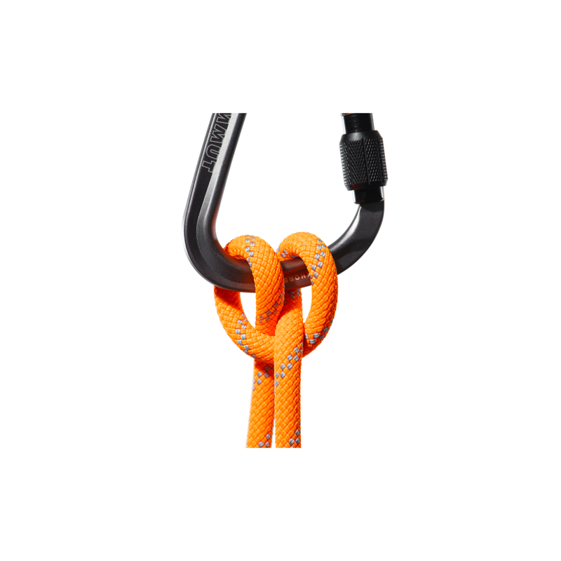 Mammut 9.5mm Alpine Dry Vibrant 60m-1