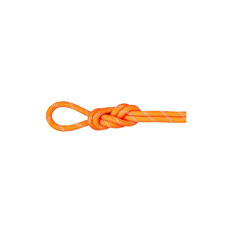 Mammut 9.5mm Alpine Dry Vibrant 60m