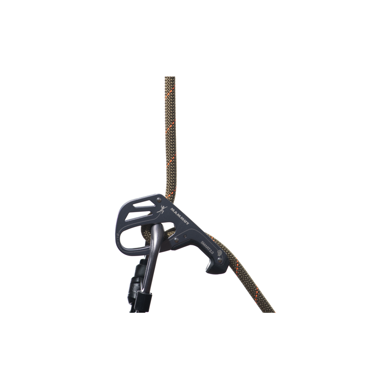 Mammut 9.9mm Gym Workhorse Classic Boa 30m-1
