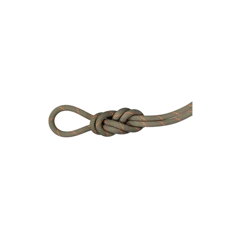 Mammut 9.9mm Gym Workhorse Classic Boa 30m
