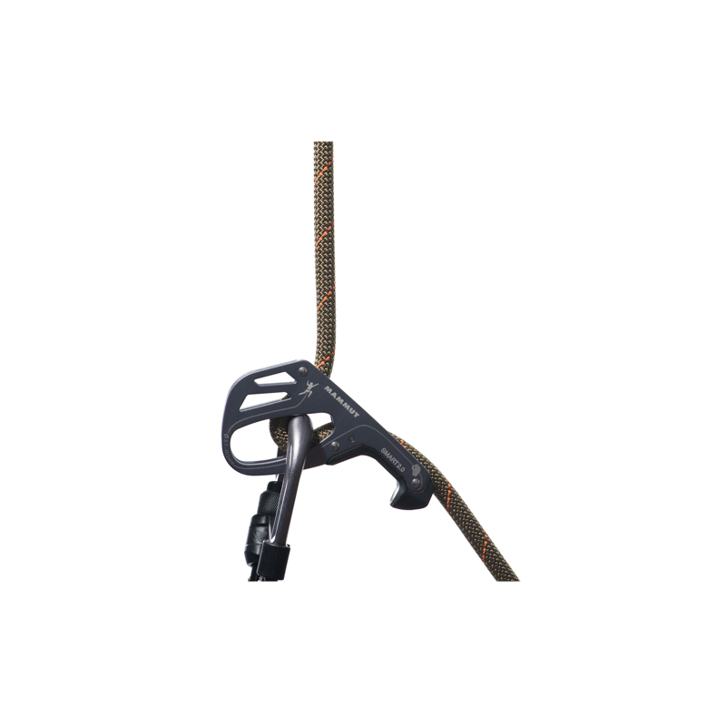 Mammut 9.9mm Gym Workhorse Classic Boa 40m-1