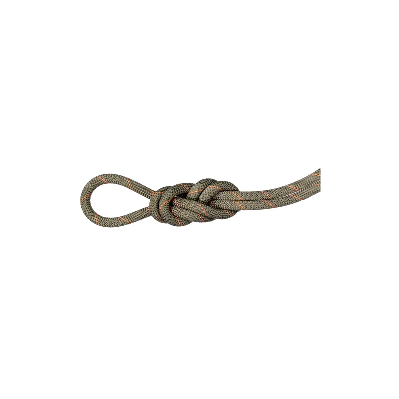 Mammut 9.9mm Gym Workhorse Classic Boa 40m