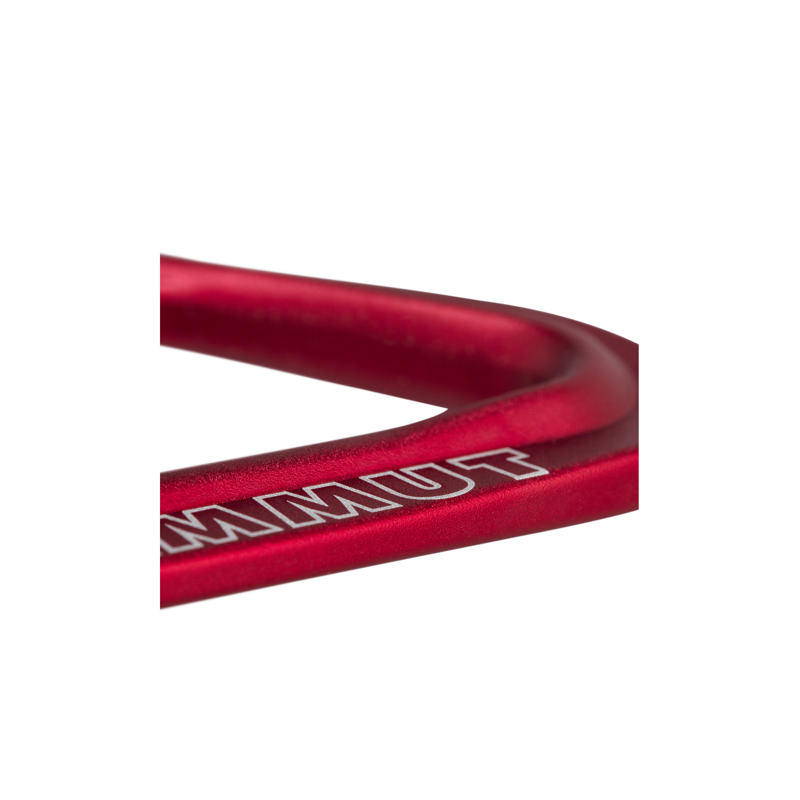 Mammut Sender Wire Rackpack-2