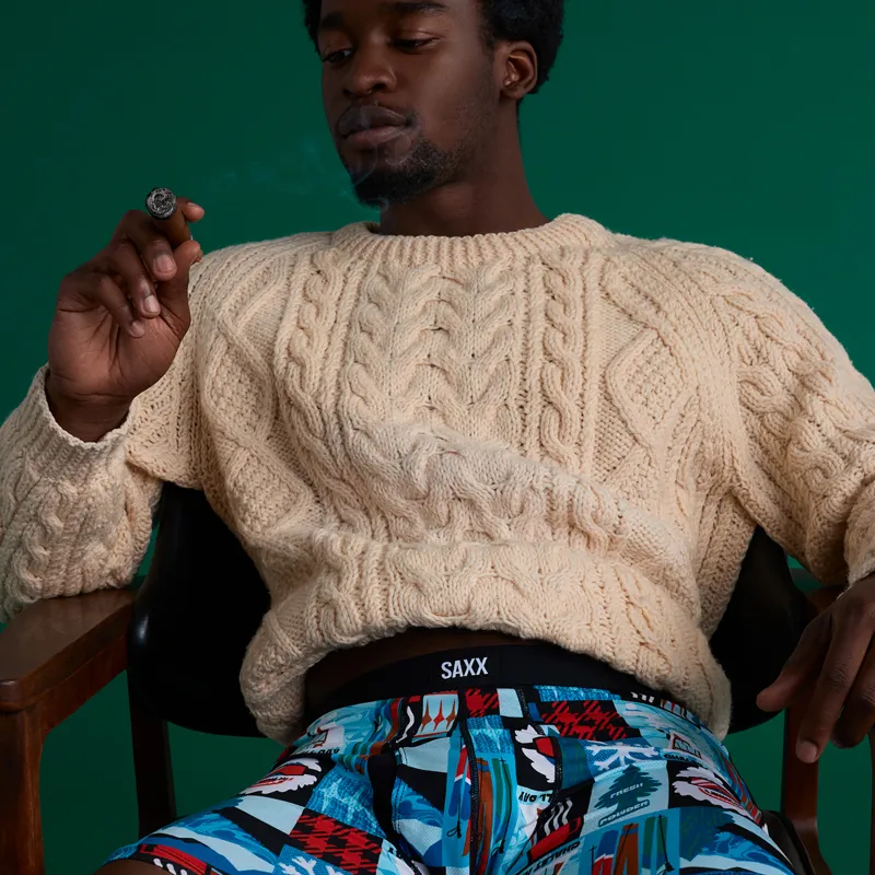 Saxx Men's Daytripper Boxer Briefs Fly Chalet -4