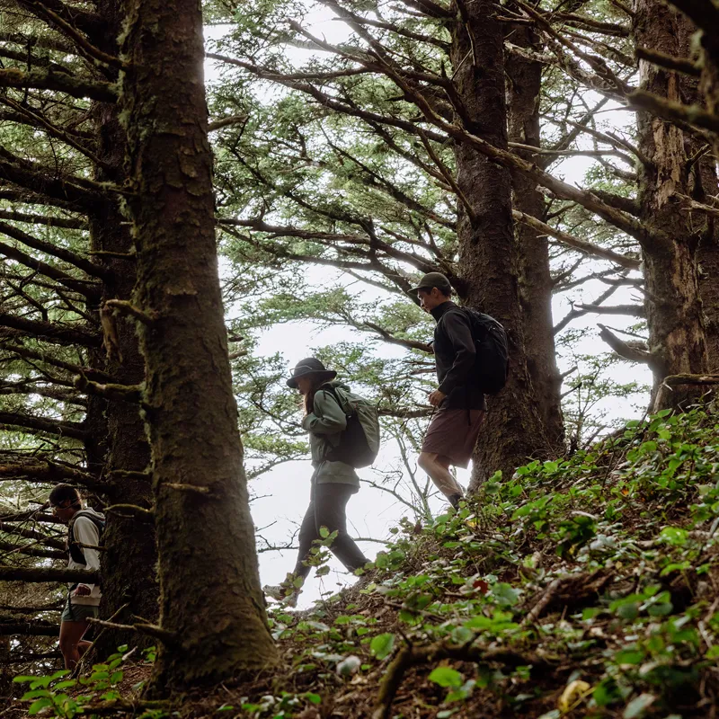 Rab Women's Hepton Pullover Hoody Dark Fig Green-6