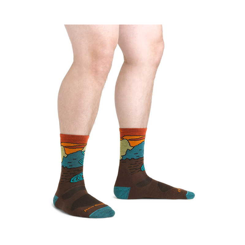 Darn Tough Men's Chasing Waterfalls Micro Crew Lightweight Socks with Cushion Earth-3