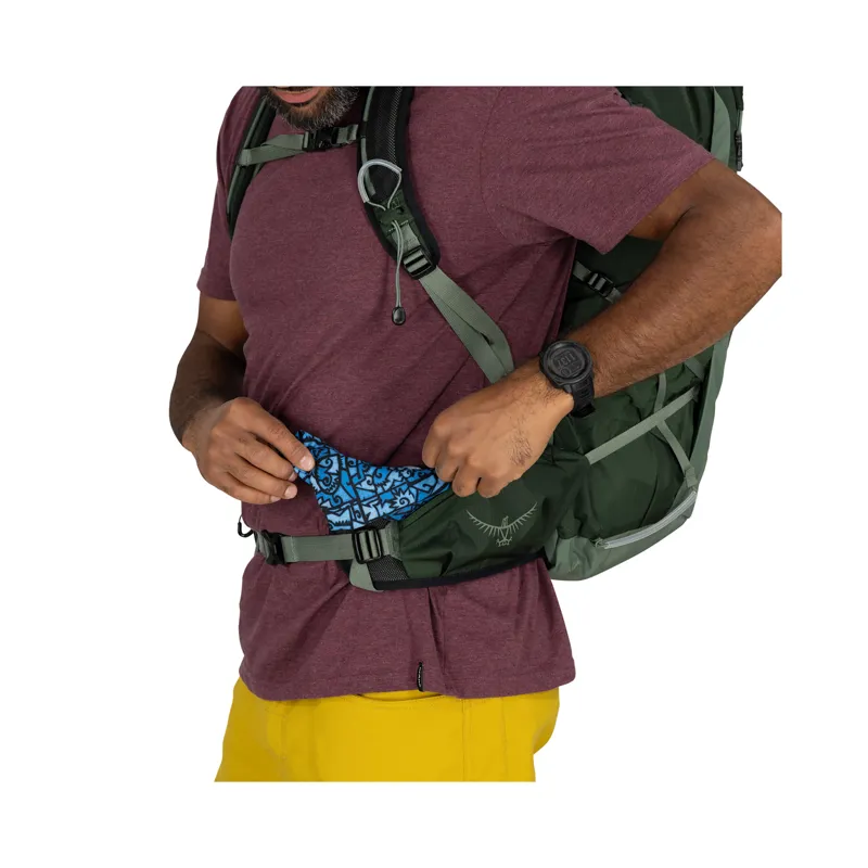 Osprey Men's Talon 33 Green Canopy/Pine Leaf-4