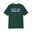 Patagonia Men's P-6 Logo Responsibili-Tee Cascade Green