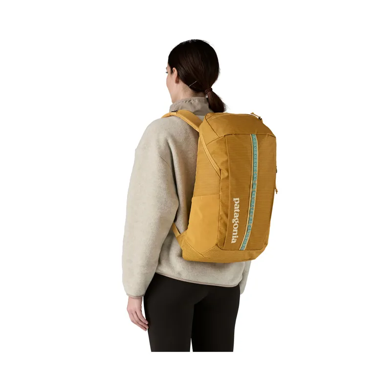 Patagonia Black Hole Pack 25L Pufferfish Gold/Beeswax Tan-1