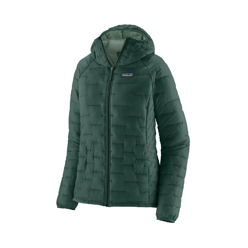 Patagonia Women's Micro Puff Hoodie Cascade Green