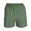 Royal Robbins Men's All In Shorts Algae Fish Pt