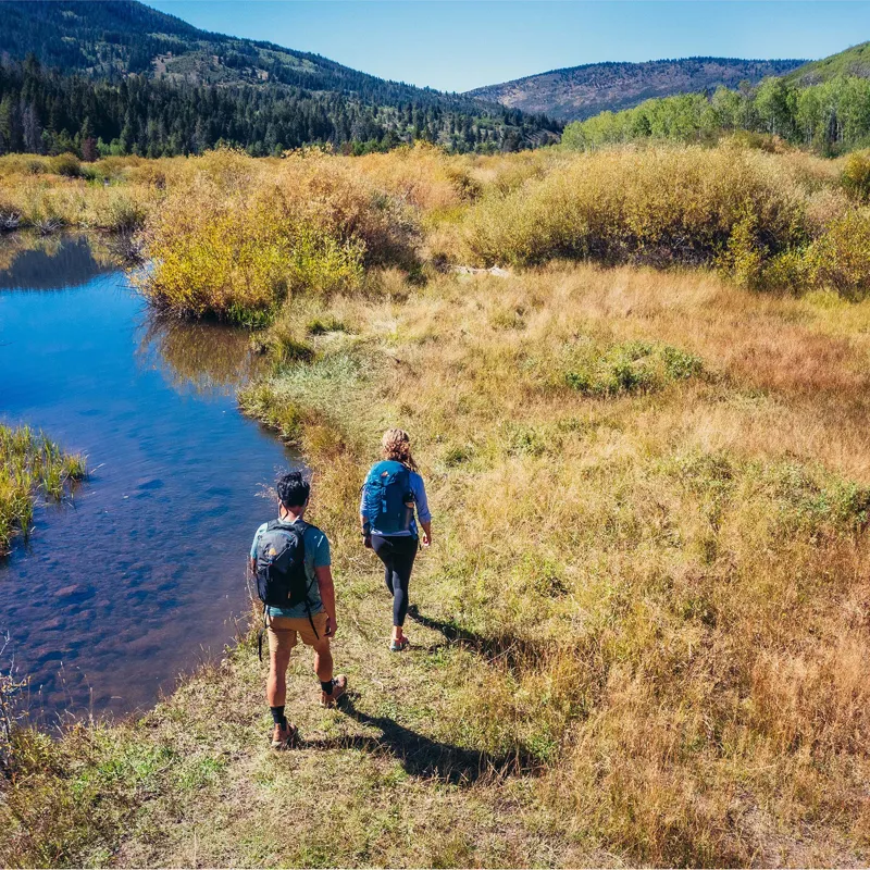 Gregory Unisex Nano 20 Backpack Hornet Yellow-9
