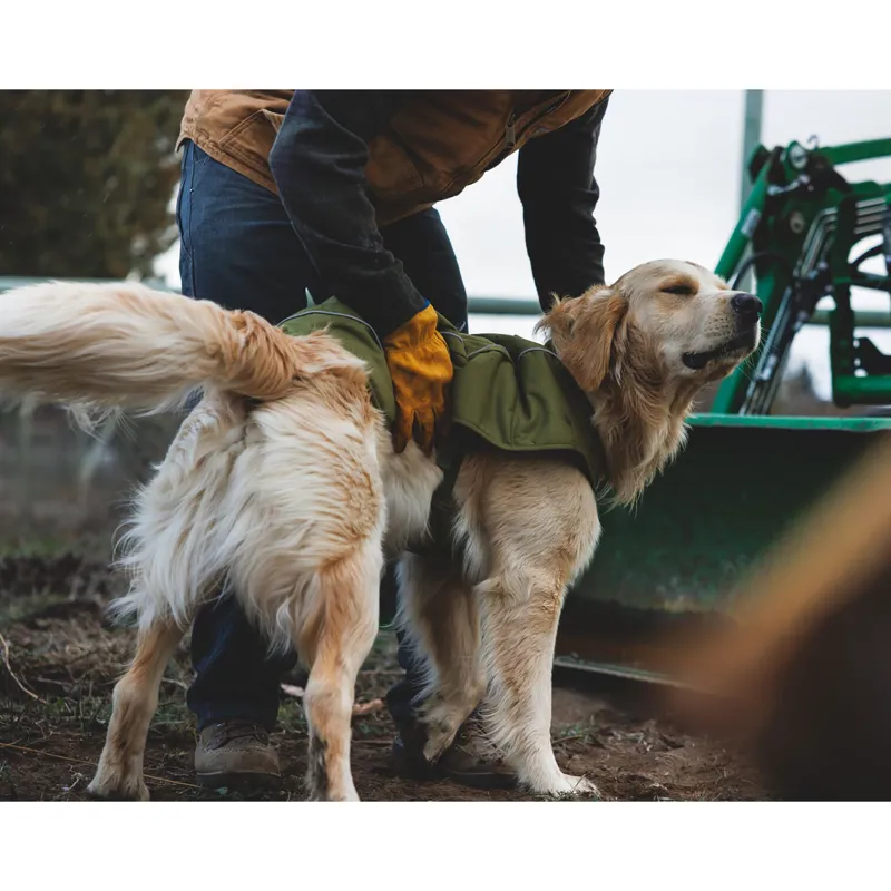 Ruffwear Overcoat Fuse Insulated Vest Cedar Green-10