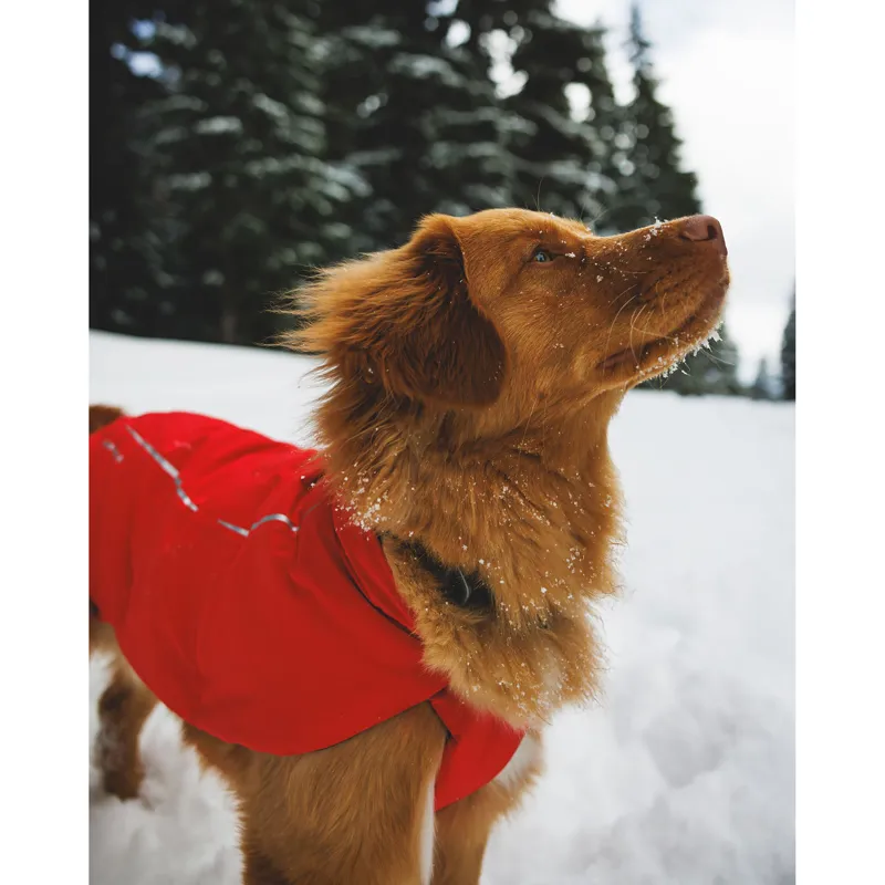 Ruffwear Powder Hound Waterproof Insulated Vest Obsidian Black-9