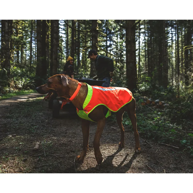 Ruffwear Lumenglow High-Vis Vest Blaze Orange-7