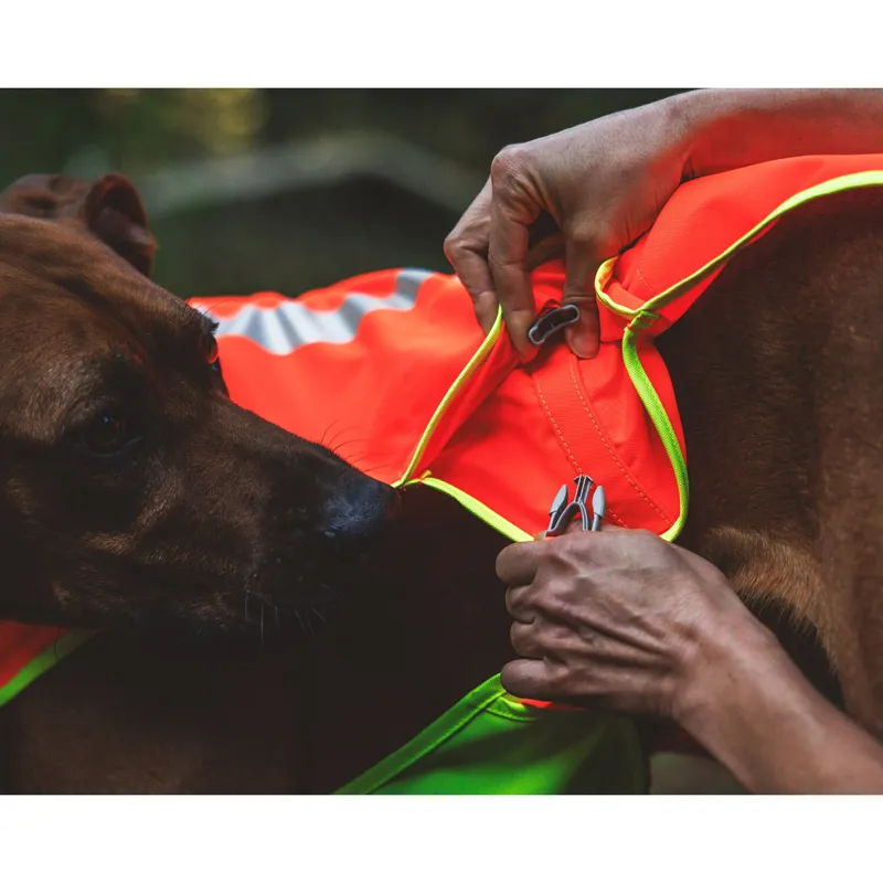 Ruffwear Lumenglow High-Vis Vest Blaze Orange-8