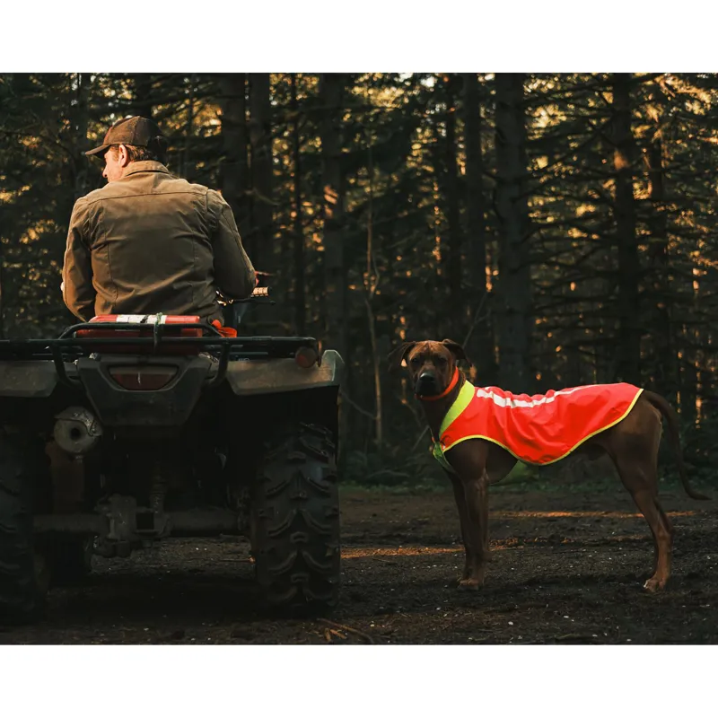 Ruffwear Lumenglow High-Vis Vest Blaze Orange-11