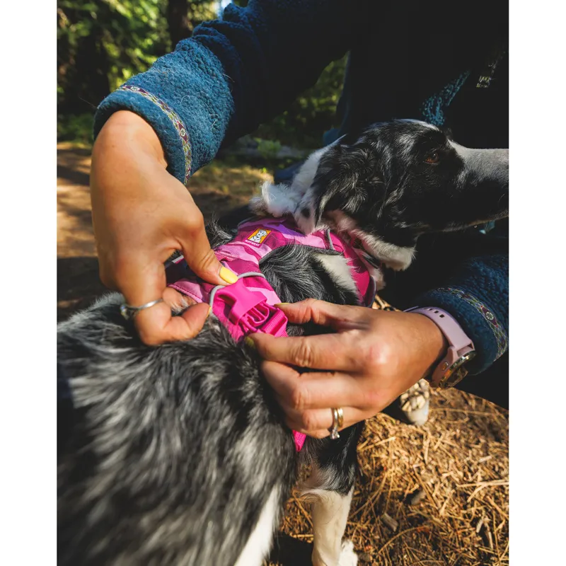Ruffwear Front Range Harness Pink Mountains-6