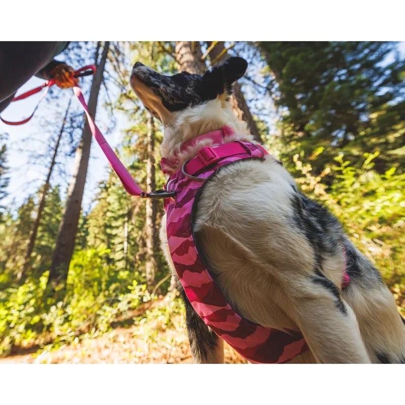Ruffwear Front Range Harness Pink Mountains-7