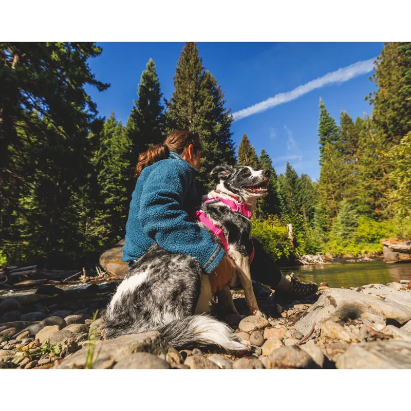 Ruffwear Front Range Harness Pink Mountains-8