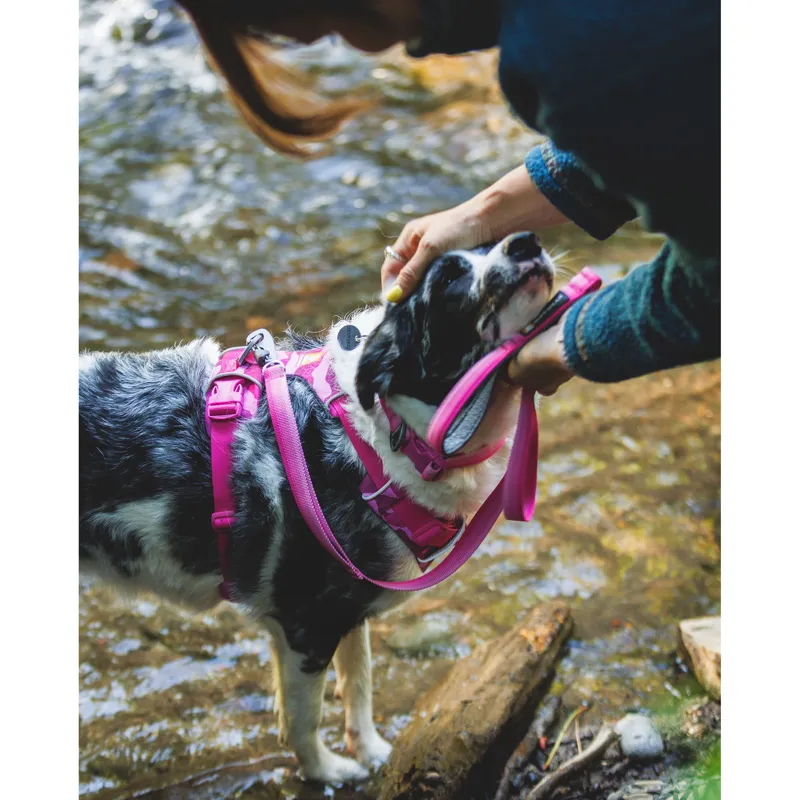 Ruffwear Front Range Harness Pink Mountains-9