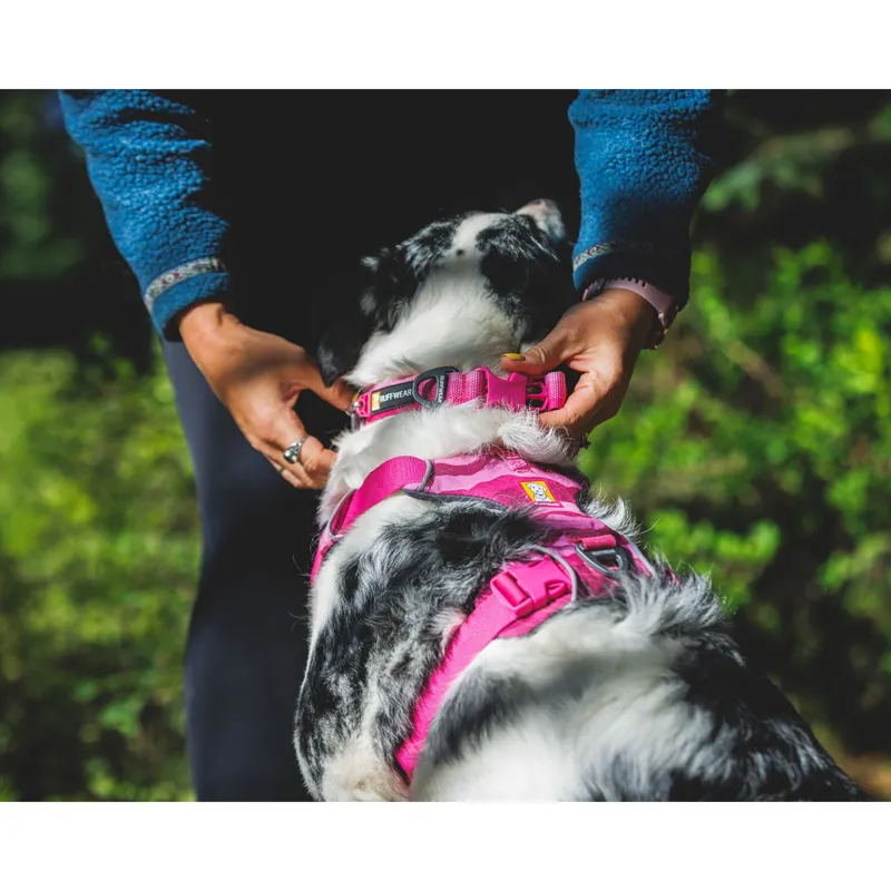 Ruffwear Front Range Harness Pink Mountains-10