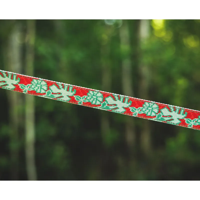 Ruffwear Crag Leash Tropical Bloom-9