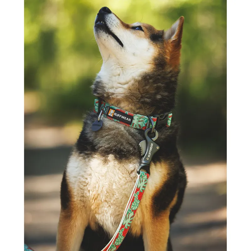 Ruffwear Crag Leash Desert Spice-4