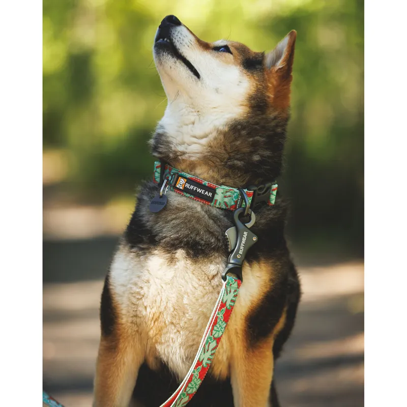 Ruffwear Crag Leash Alpine Dusk-4
