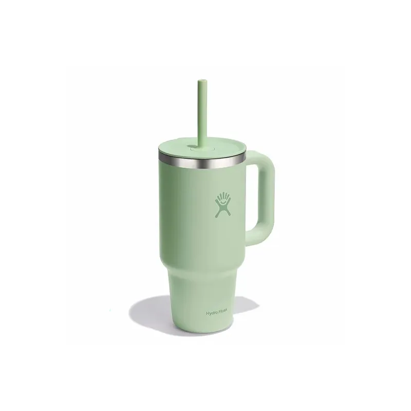 Hydro Flask 32oz All Around Travel Tumbler with Straw Aloe-1