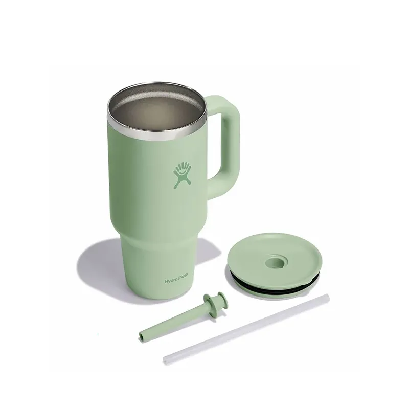 Hydro Flask 32oz All Around Travel Tumbler with Straw Aloe-2