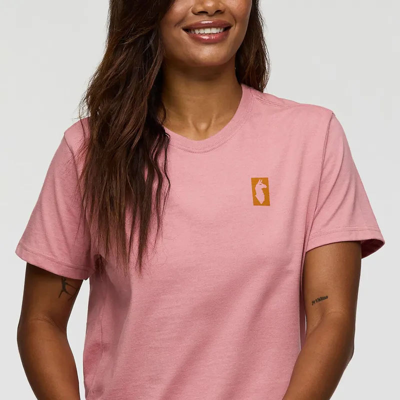 Cotopaxi Women's Gear For Good Stripes T-Shirt Rose-6