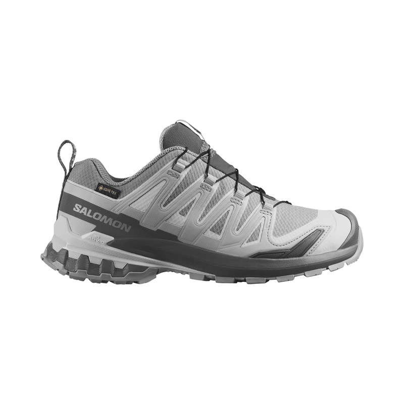 Salomon Women's XA Pro 3D V9 GTX Trail Running Shoes Alloy / Castlerock