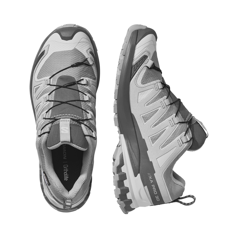 Salomon Women's XA Pro 3D V9 GTX Trail Running Shoes Alloy / Castlerock-1