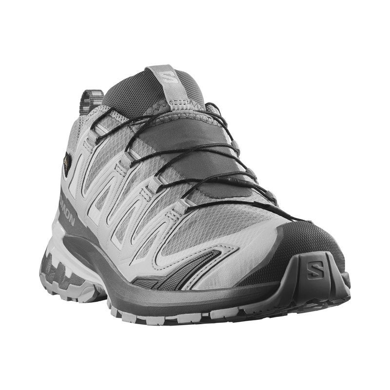 Salomon Women's XA Pro 3D V9 GTX Trail Running Shoes Alloy / Castlerock-2