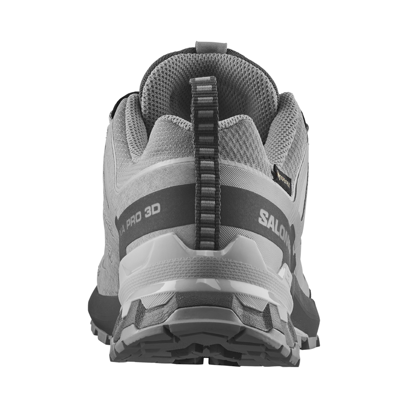 Salomon Women's XA Pro 3D V9 GTX Trail Running Shoes Alloy / Castlerock-3