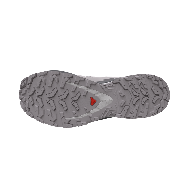 Salomon Women's XA Pro 3D V9 GTX Trail Running Shoes Alloy / Castlerock-5