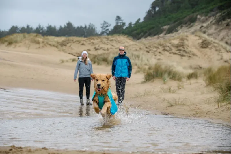Ruffwear Sun Shower Dog Raincoat Blue Dusk-9