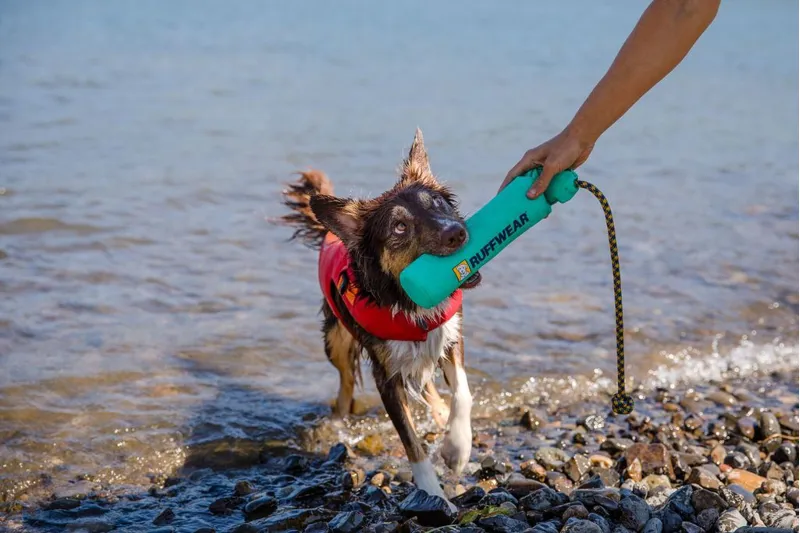 Ruffwear Lunker Floating Throw Toy Aurora Teal-4