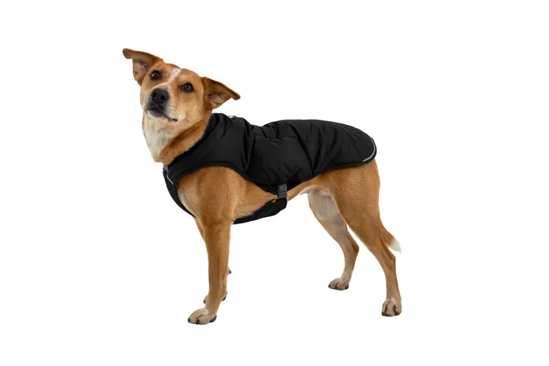 Ruffwear Quinzee Insulated Dog Jacket Obsidian Black-1