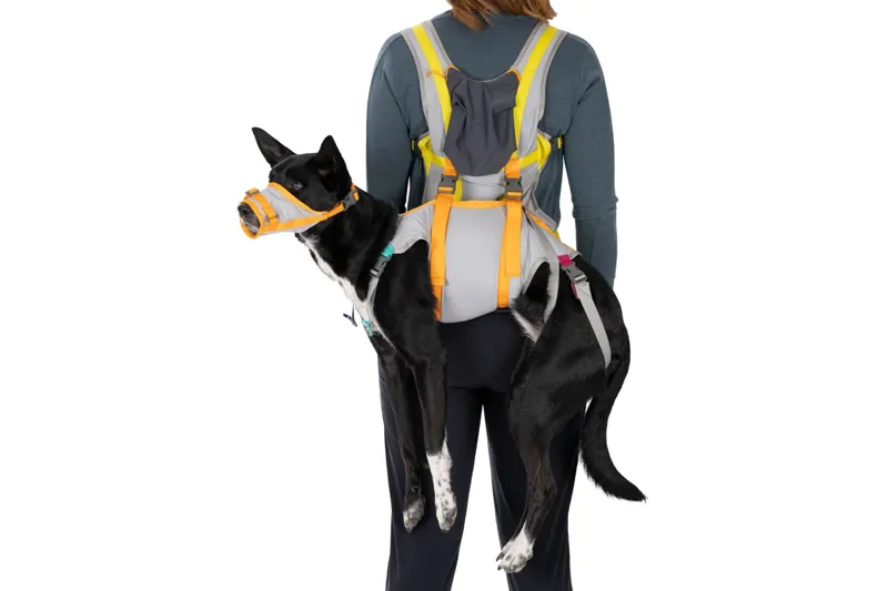 Ruffwear BackTrak Dog Evacuation Kit Cloudburst-3