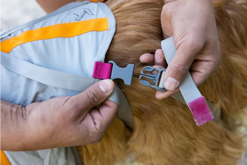 Ruffwear BackTrak Dog Evacuation Kit Cloudburst-9