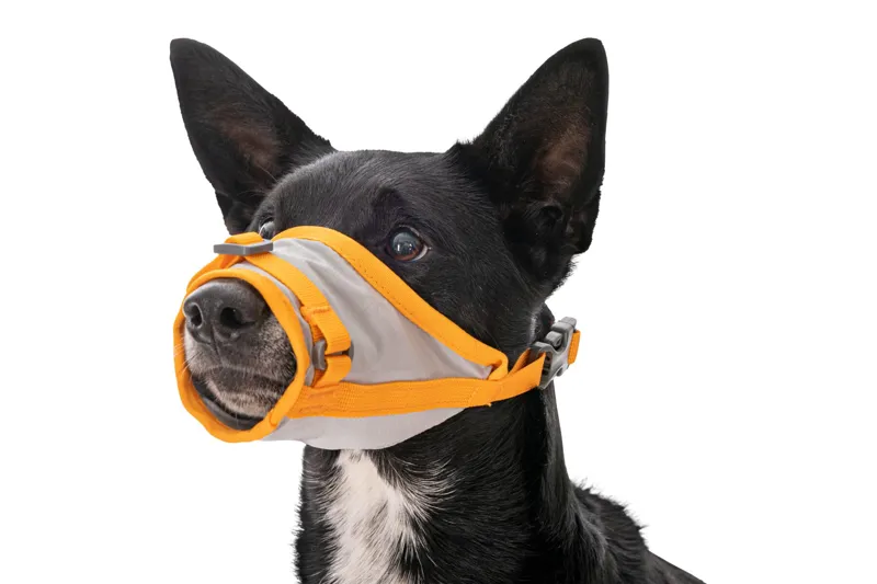 Ruffwear BackTrak Dog Evacuation Kit Cloudburst-4