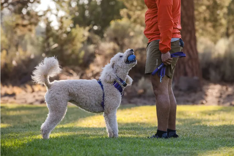 Ruffwear Turnup Rubber Throw Toy Heliotrope Purple-3