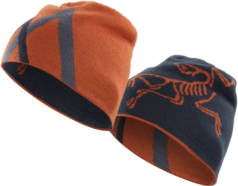 Arcteryx Mountain Toque Kingfisher Rooibos